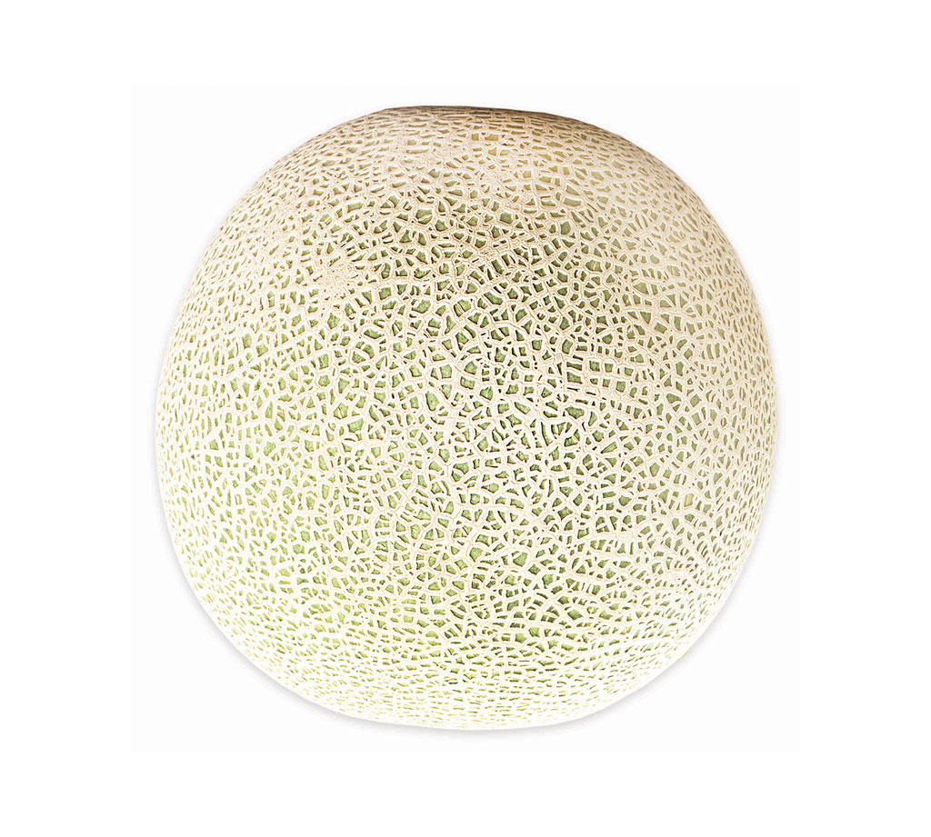 product-image2